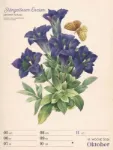 Bild von Ars Floralis - Vintage-Wochenplaner Kalender 2026