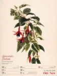 Bild von Ars Floralis - Vintage-Wochenplaner Kalender 2026