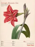 Bild von Ars Floralis - Vintage-Wochenplaner Kalender 2026