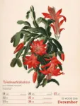Bild von Ars Floralis - Vintage-Wochenplaner Kalender 2026
