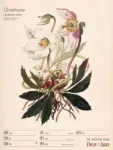 Bild von Ars Floralis - Vintage-Wochenplaner Kalender 2026