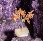 Bild von Kristallbaum Karneol