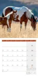 Bild von Pferde Kalender 2026 - 30x30