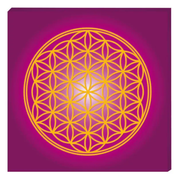 Bild von Leinwandbild Blume des Lebens, magenta, 45 × 45 cm