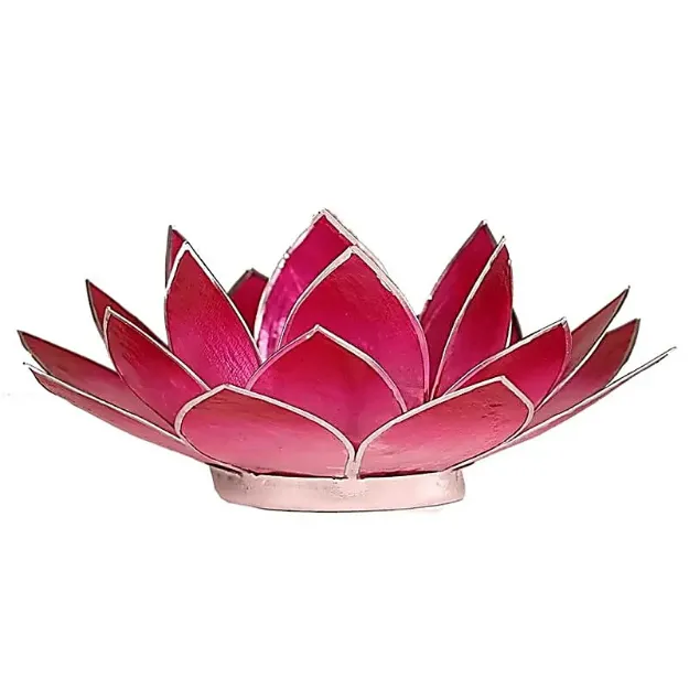 Bild von Lotus Teelichthalter rosa mit Silberrand