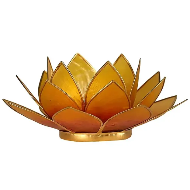 Bild von Lotus Teelichthalter orange mit Goldrand