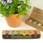Bild von 6er-Pack Samenbomben für Blumen