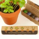 Bild von 6er-Pack Samenbomben für aromatische Kräuter