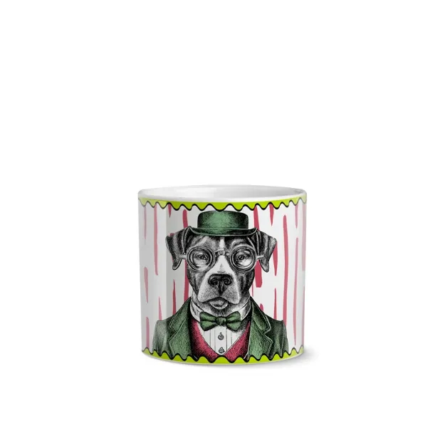 Bild von SET 4 CACHEPOT HUMAN ESSENCE GATTO INDEPENDENCE 7x7 CM