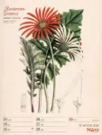 Bild von Ars Floralis - Vintage-Wochenplaner Kalender 2026
