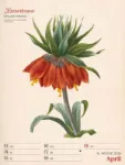 Bild von Ars Floralis - Vintage-Wochenplaner Kalender 2026