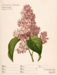 Bild von Ars Floralis - Vintage-Wochenplaner Kalender 2026