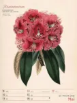 Bild von Ars Floralis - Vintage-Wochenplaner Kalender 2026