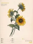 Bild von Ars Floralis - Vintage-Wochenplaner Kalender 2026