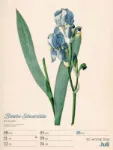 Bild von Ars Floralis - Vintage-Wochenplaner Kalender 2026