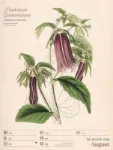 Bild von Ars Floralis - Vintage-Wochenplaner Kalender 2026