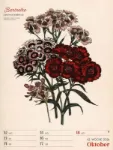 Bild von Ars Floralis - Vintage-Wochenplaner Kalender 2026