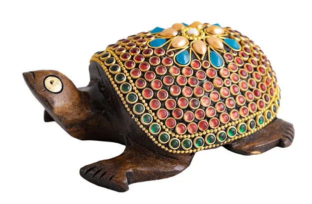 Bild von Kleine Zauberschildkröte