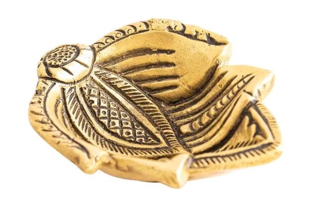 Bild von Gheelampe Blatt