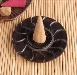 Bild von Kegelhalter Sonnenstrahlen