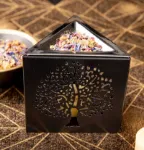 Bild von Siebgefäss Trinity