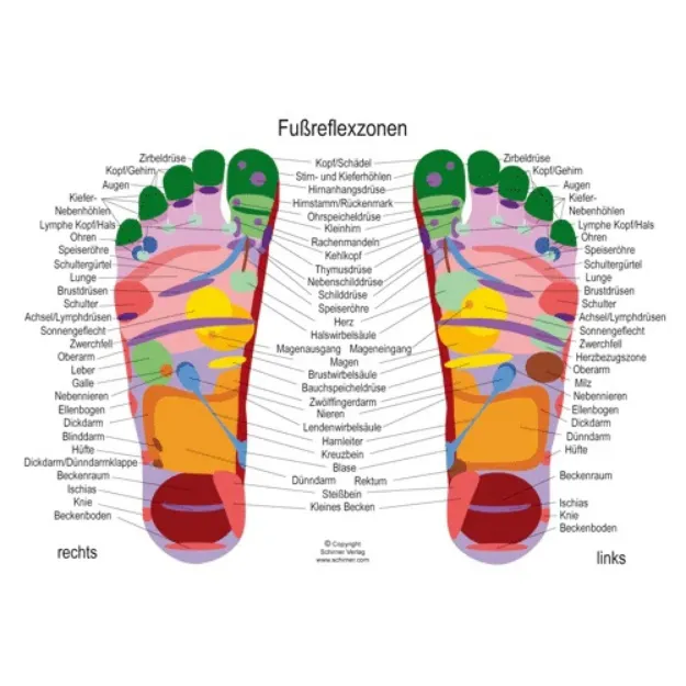 Bild von Fussreflexzonenkarte A4