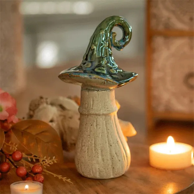 Bild von Mooswichtel-Pilz