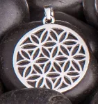 Bild von Blume des Lebens Anhänger Silber