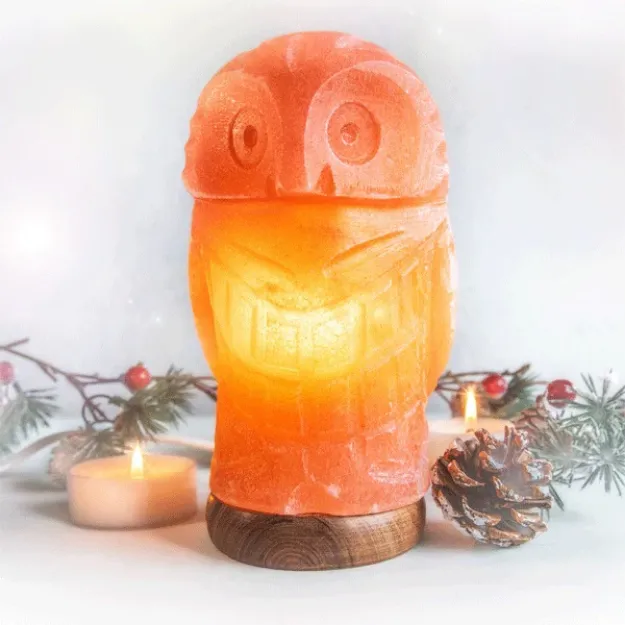 Bild von Salzkristall-Lampe Eule