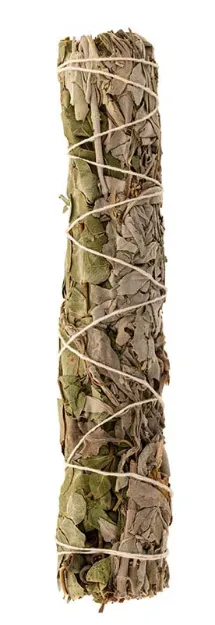 Bild von Weisser Salbei/Eukalyptus