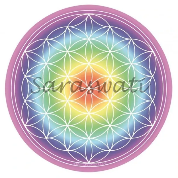 Bild von Aufkleber 14 cm Blume des Lebens bunt