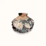 Bild von Haarklammer Muschelform Marble - by vivi.