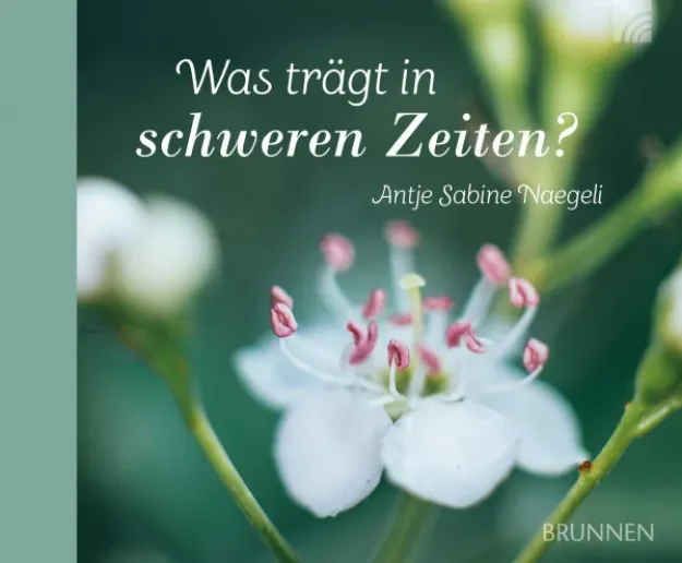 Bild von Naegeli A: Was trägt in schweren Zeiten?