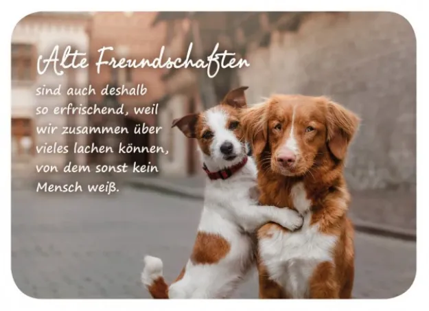 Bild von Postkarte. Alte Freundschaften sind auchdeshalb so erfrischend, weil wir zusamm