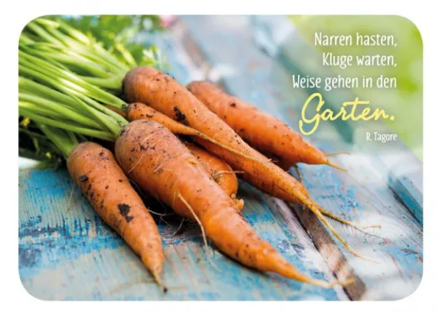 Bild von Postkarte. Narren hasten, Kluge warten,Weise gehen in den Garten 10 Ex.