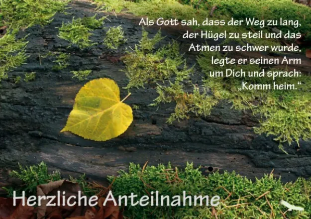 Bild von Herzliche Anteilnahme 6 Ex.