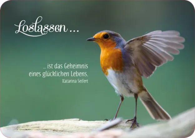 Bild von Postkarte. Loslassen ist das Geheimniseines glücklichen Lebens. Katarina Seif