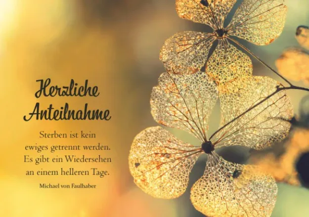 Bild von Faltkarte Herzliche Anteilnahme -Sterben ist kein ewiges getrennt werden