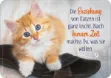 Bild von Die Erziehung von Katzen ist ganzleicht. Nach kurzer Zeit machst Du, was