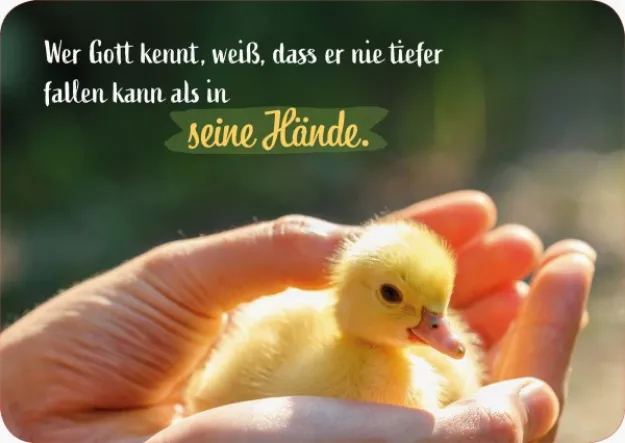 Bild von Brunnen Postkarte Wer Gott kennt 10 Ex.