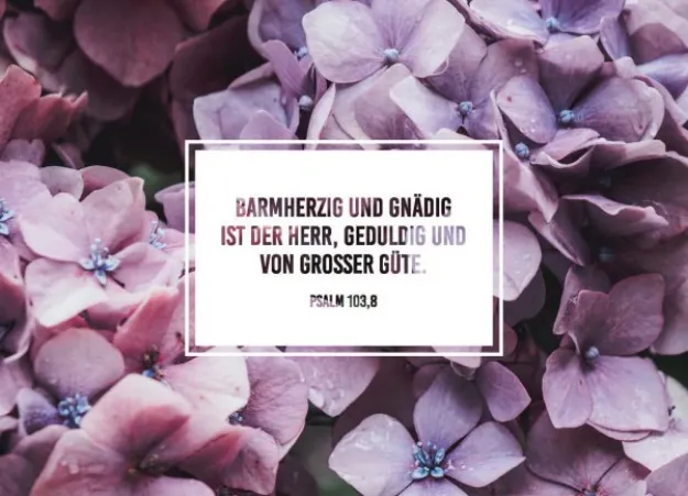 Bild von Brunnen Faltkarte Barmherzig und gnädig6 Ex.