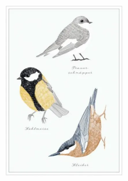 Bild von Postkarte. Vögel 10 Ex.