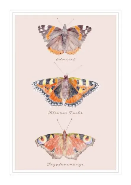 Bild von Postkarte. Schmetterlinge 10 Ex.