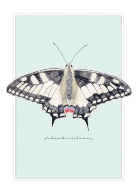 Bild von Postkarte. Schwalbenschwanz 10 Ex.