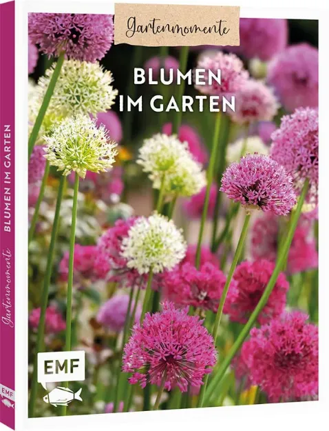 Bild von Gartenmomente: Blumen im Garten