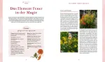 Bild von Winter M: Magie im Hexengarten –Gärtnern mit grüner Magie