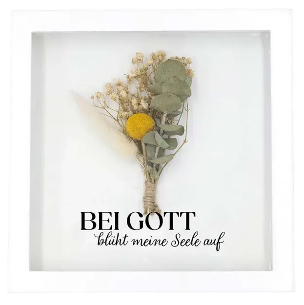 Bild von Bei Gott blüht meine Seele auf