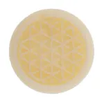 Bild von Rosenwachs Blume des Lebens