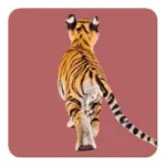 Bild von Arendt K: Memo-Spiel: Fluffy Butts –Finde den passenden Po zum Kopf!