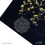 Bild von Klangraum Burghalde